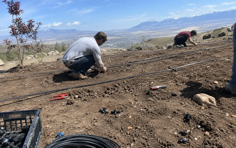 Crew laying drip tubing in a newly cleared planting bed