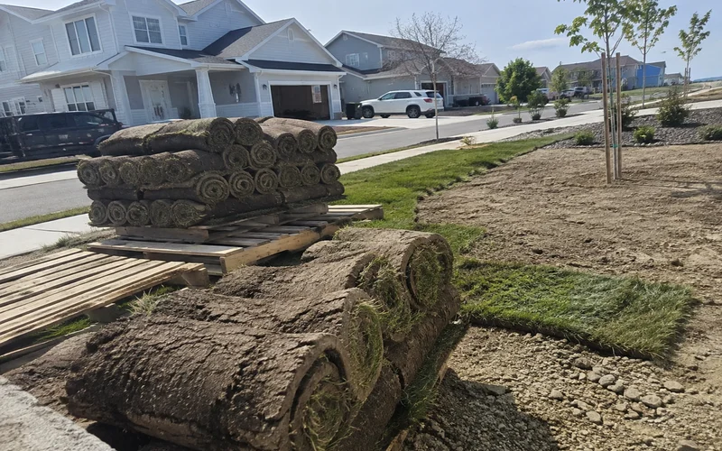 Fresh sod rolls staged on a graded Utah yard ready to lay
