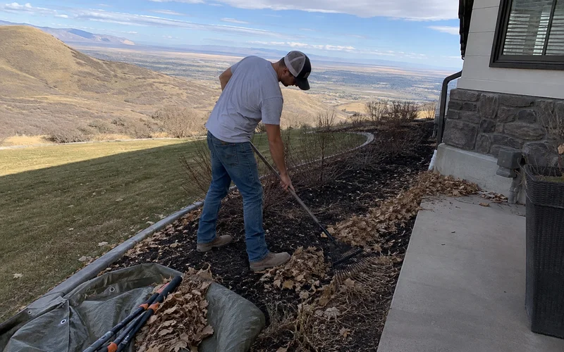 Worker raking fallen leaves out of a landscape bed during a seasonal cleanup