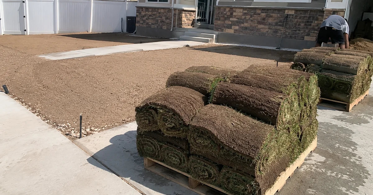 Fresh sod rolls staged on a prepped Utah yard ready to lay