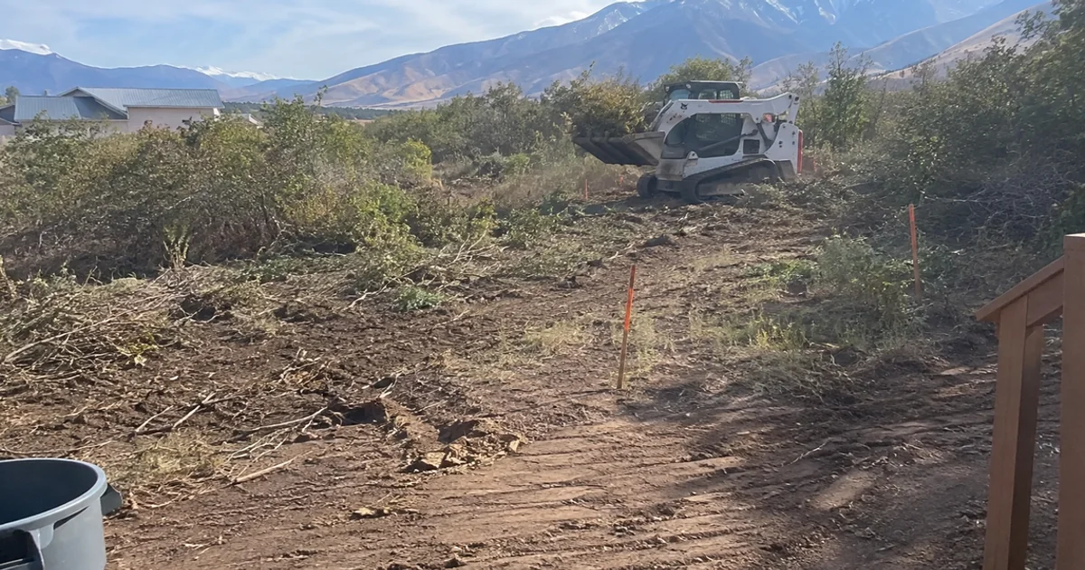 Skid steer clearing dense overgrown brush on a rural Tooele County lot
