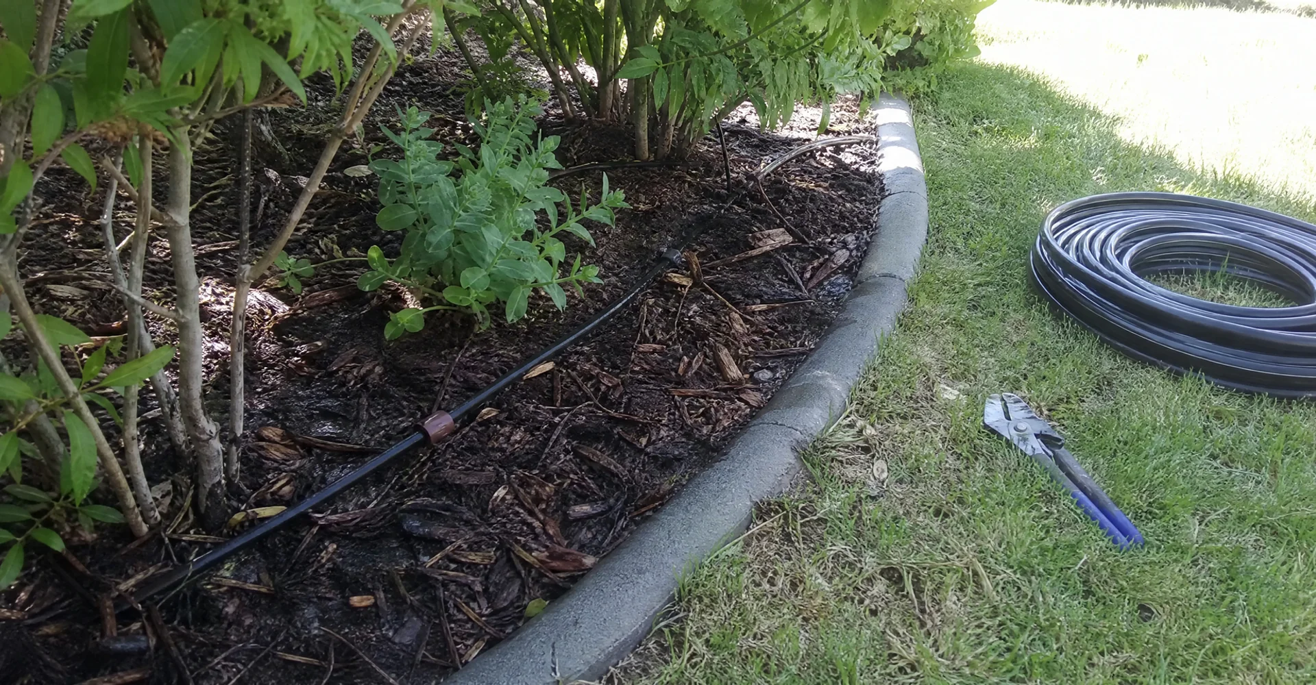 Drip tubing with emitters running through a mulched Utah garden bed at the base of shrubs