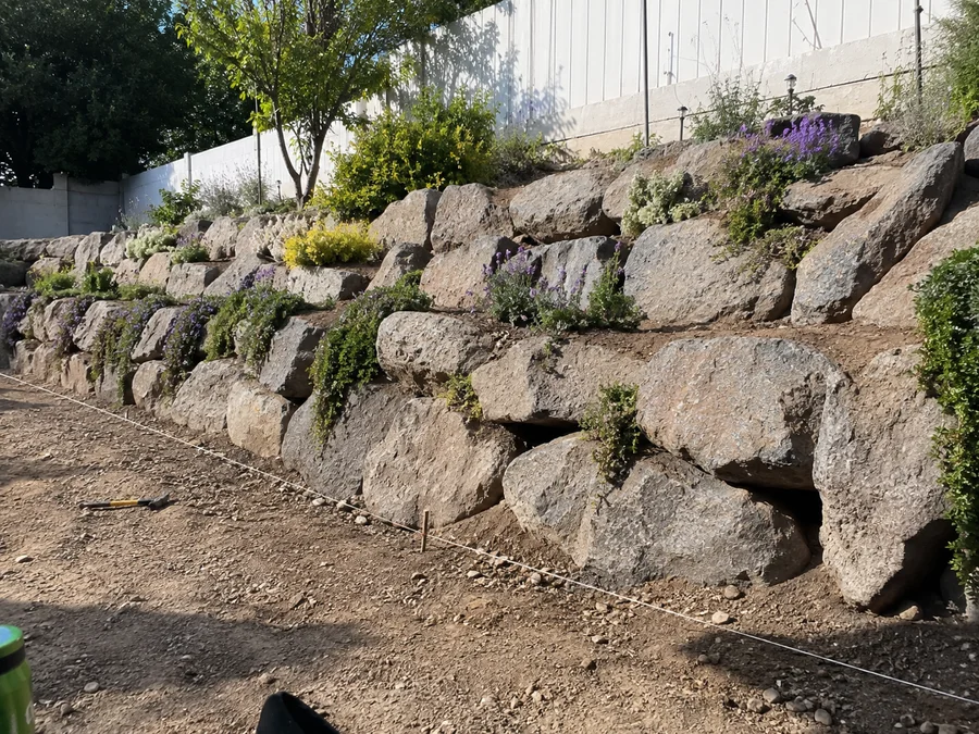 Finished boulder wall with planting established between the stones on a hillside lot