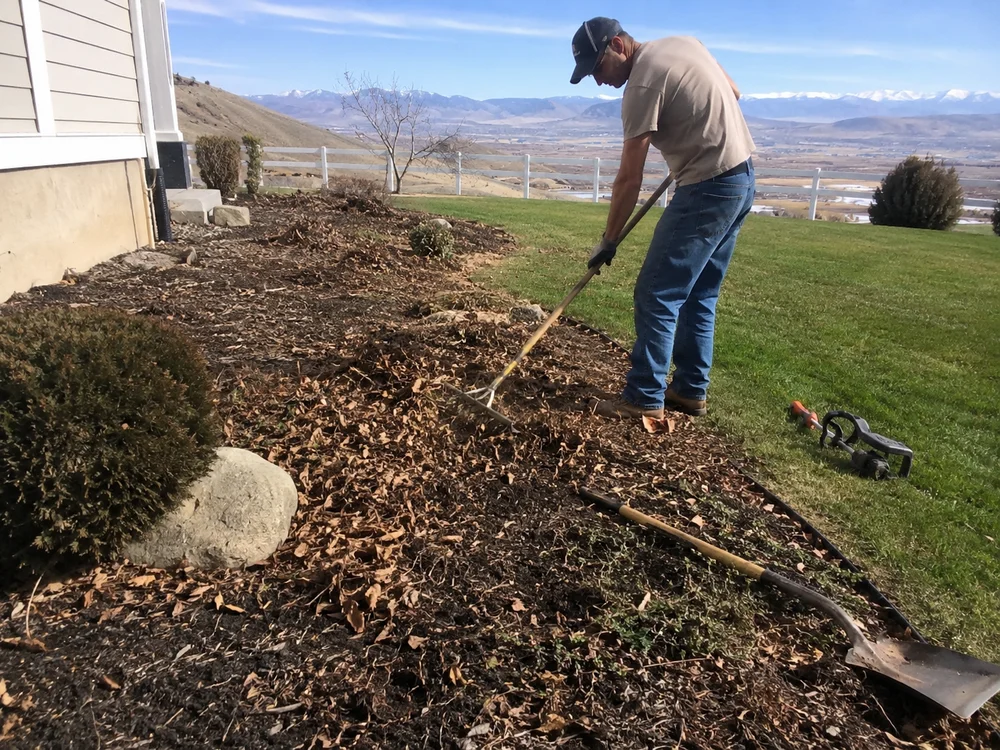 Worker raking leaves and debris out of a landscape bed during a seasonal cleanup